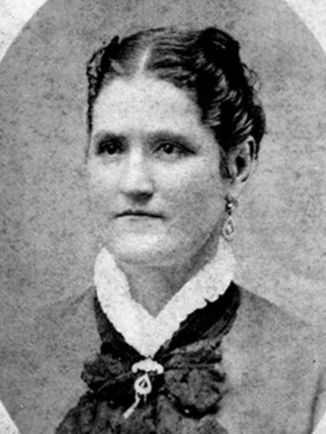 Martha Elvira Sanford (1837 - 1919) Profile